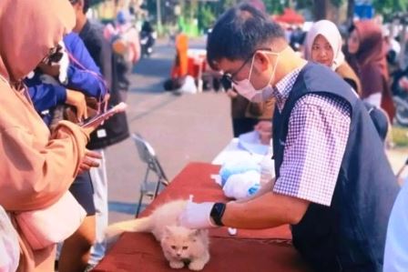 Bandar-Lampung-Nol-Kasus-Rabies-pada-Manusia-Sepanjang-2025-Dinkes-Siaga-546-Kasus-Gigitan-HPR
