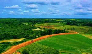 TN-Way-Kambas-Perkuat-Strategi-Terpadu-Tangani-Konflik-Gajah-dan-Manusia