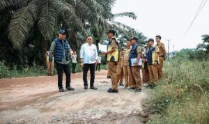 Rp135-Miliar-untuk-Jalan-Rawa-Pitu-Gubernur-Mirza-Pastikan-Proyek-Sudah-Direncanakan-dan-Masuk-Tender