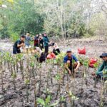 Forum CSR Lampung tanam 4.000 bibit mangrove