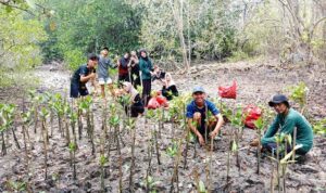 Forum CSR Lampung tanam 4.000 bibit mangrove