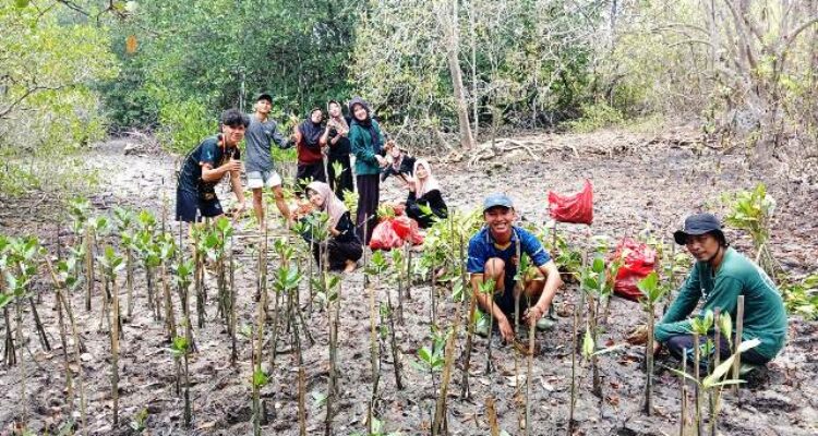 Forum CSR Lampung tanam 4.000 bibit mangrove