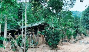 Wandi membuat gula aren tradisional di rumahnya di lereng Gunung Langgar, Lampung Selatan.