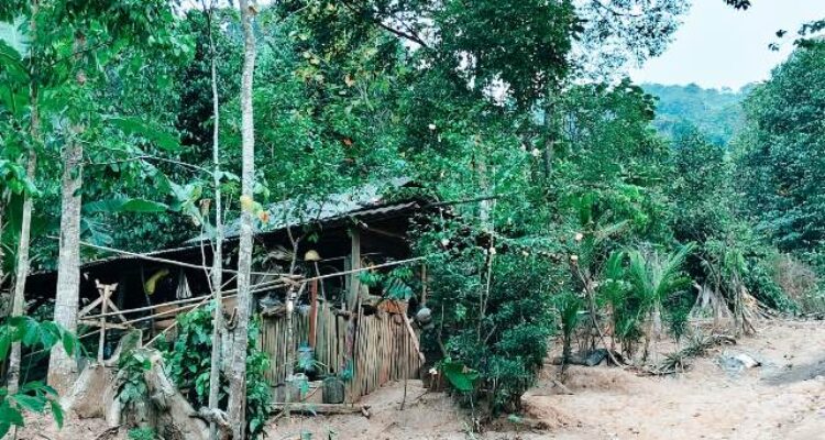 Wandi membuat gula aren tradisional di rumahnya di lereng Gunung Langgar, Lampung Selatan.