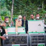 Wagub Jihan Nurlela mendorong penguatan tata kelola hutan Lampung dan pengembangan ekonomi masyarakat sekitar hutan.