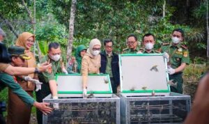 Wagub Jihan Nurlela mendorong penguatan tata kelola hutan Lampung dan pengembangan ekonomi masyarakat sekitar hutan.